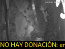 03:36:11