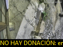 05:31:29