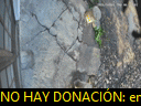 07:33:27