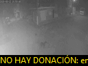 03:50:02