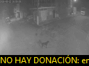 03:50:12