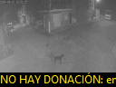 03:50:43