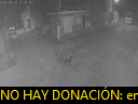 04:36:05